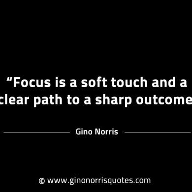 Focus is a soft touch and a clear path GinoNorrisINTJQuotes