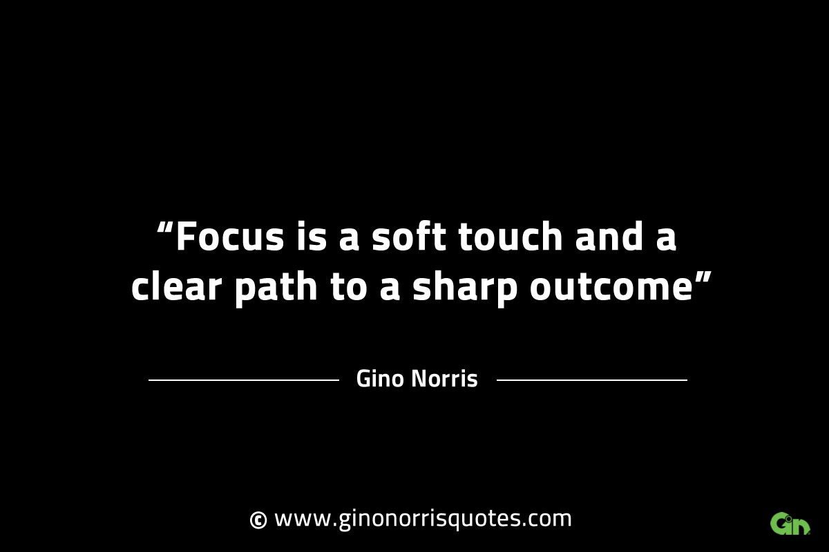Focus is a soft touch and a clear path GinoNorrisINTJQuotes