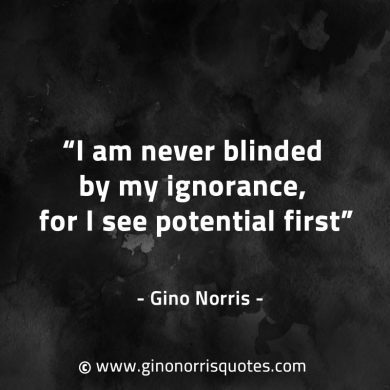 I am never blinded by my ignorance GinoNorrisQuotes