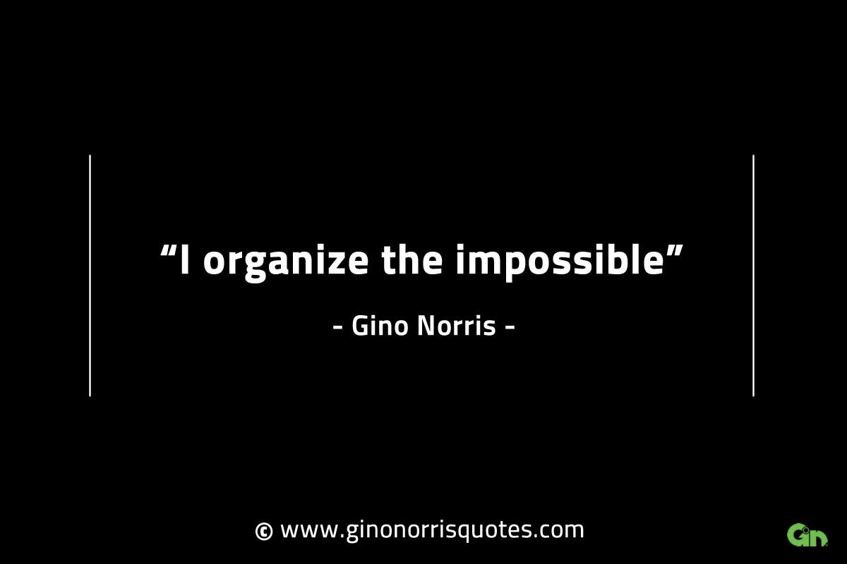 I organize the impossible GinoNorrisINTJQuotes