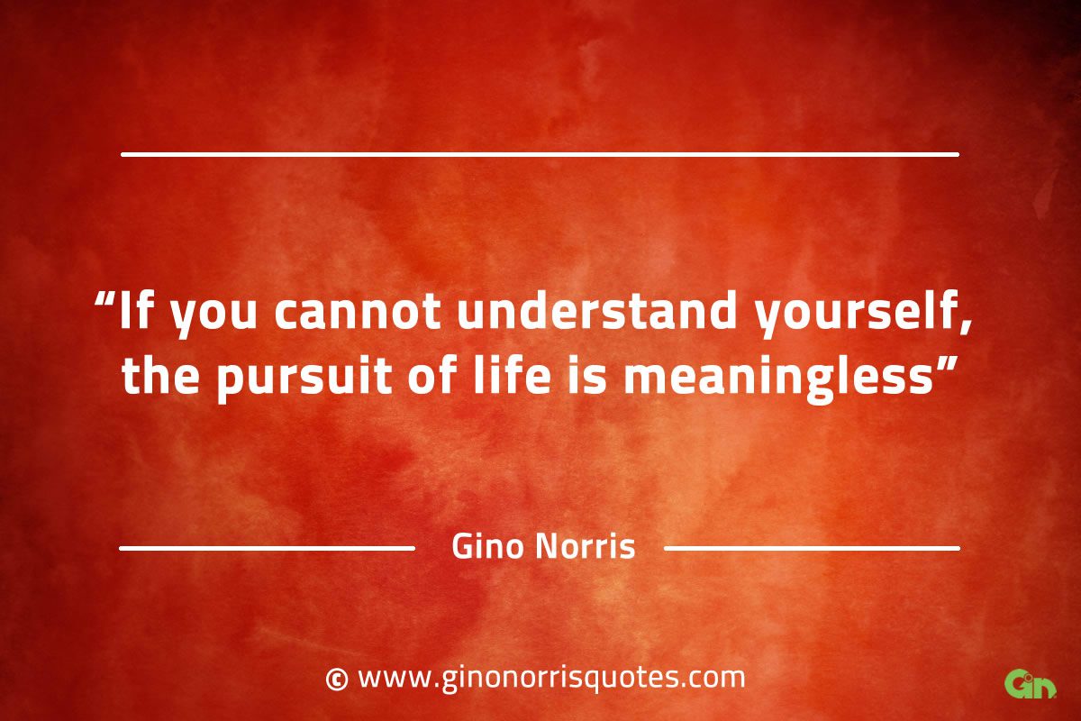 If you cannot understand yourself GinoNorrisQuotes