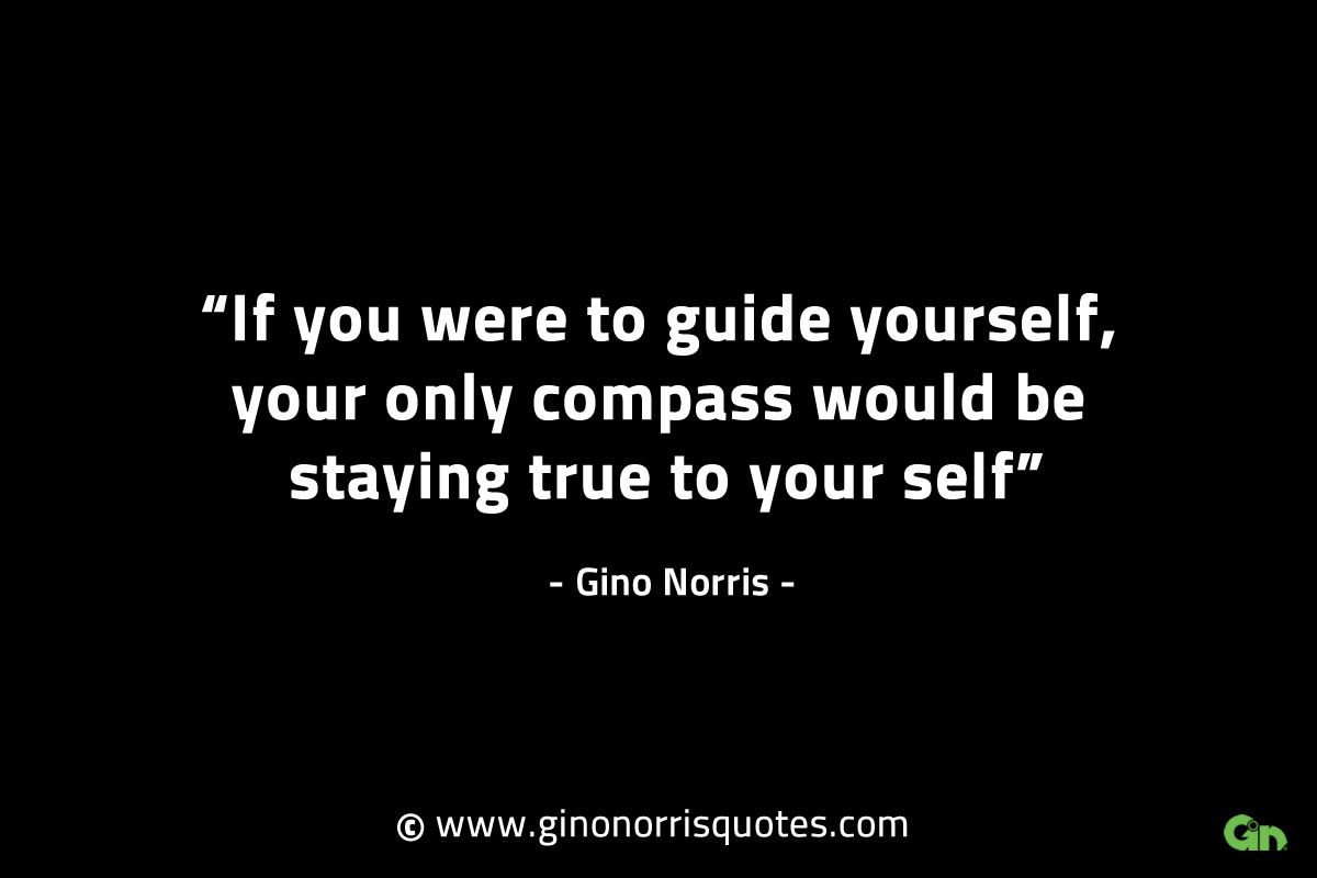 If you were to guide yourself GinoNorrisINTJQuotes