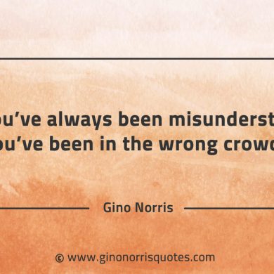 If youve always been misunderstood GinoNorrisQuotes
