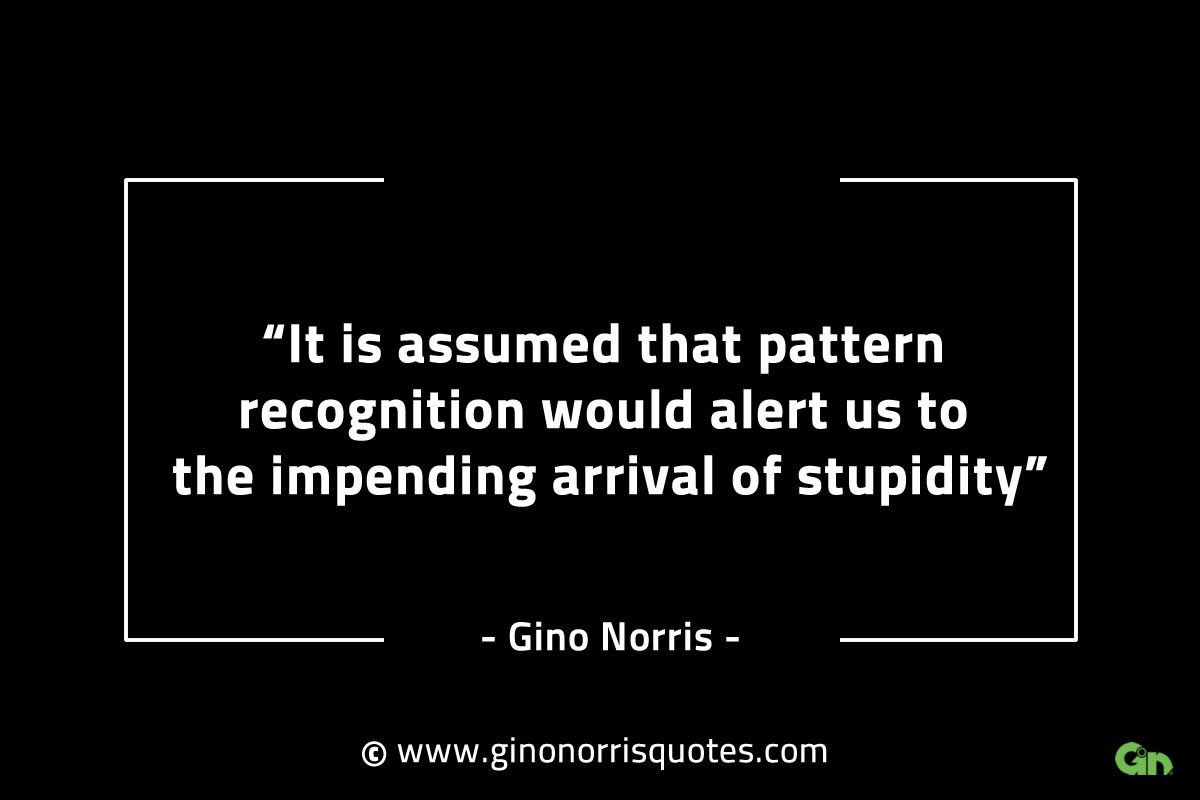 It is assumed that pattern recognition GinoNorrisINTJQuotes