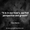 It is in our hows we find perspective and growth GinoNorrisQuotes
