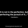 It is not in the perfection GinoNorrisINTJQuotes