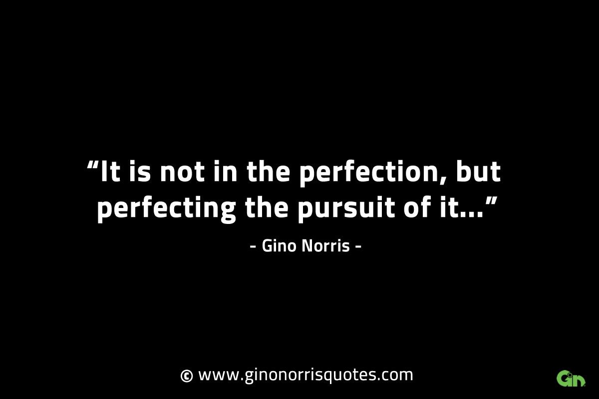 It is not in the perfection GinoNorrisINTJQuotes