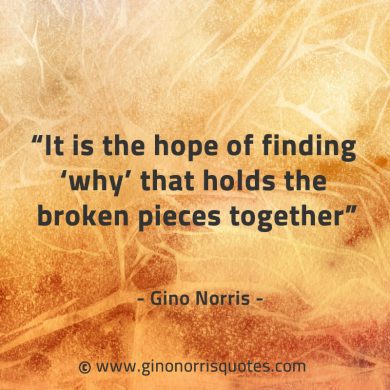 It is the hope of finding why GinoNorrisQuotes