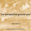 Let perspective ground you GinoNorrisQuotes