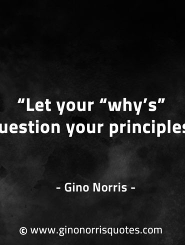 Let your whys question your principles GinoNorrisQuotes