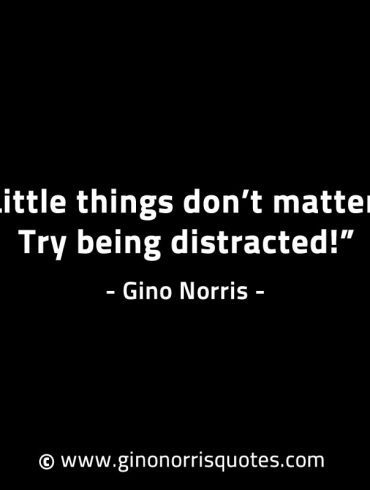 Little things dont matter GinoNorrisINTJQuotes
