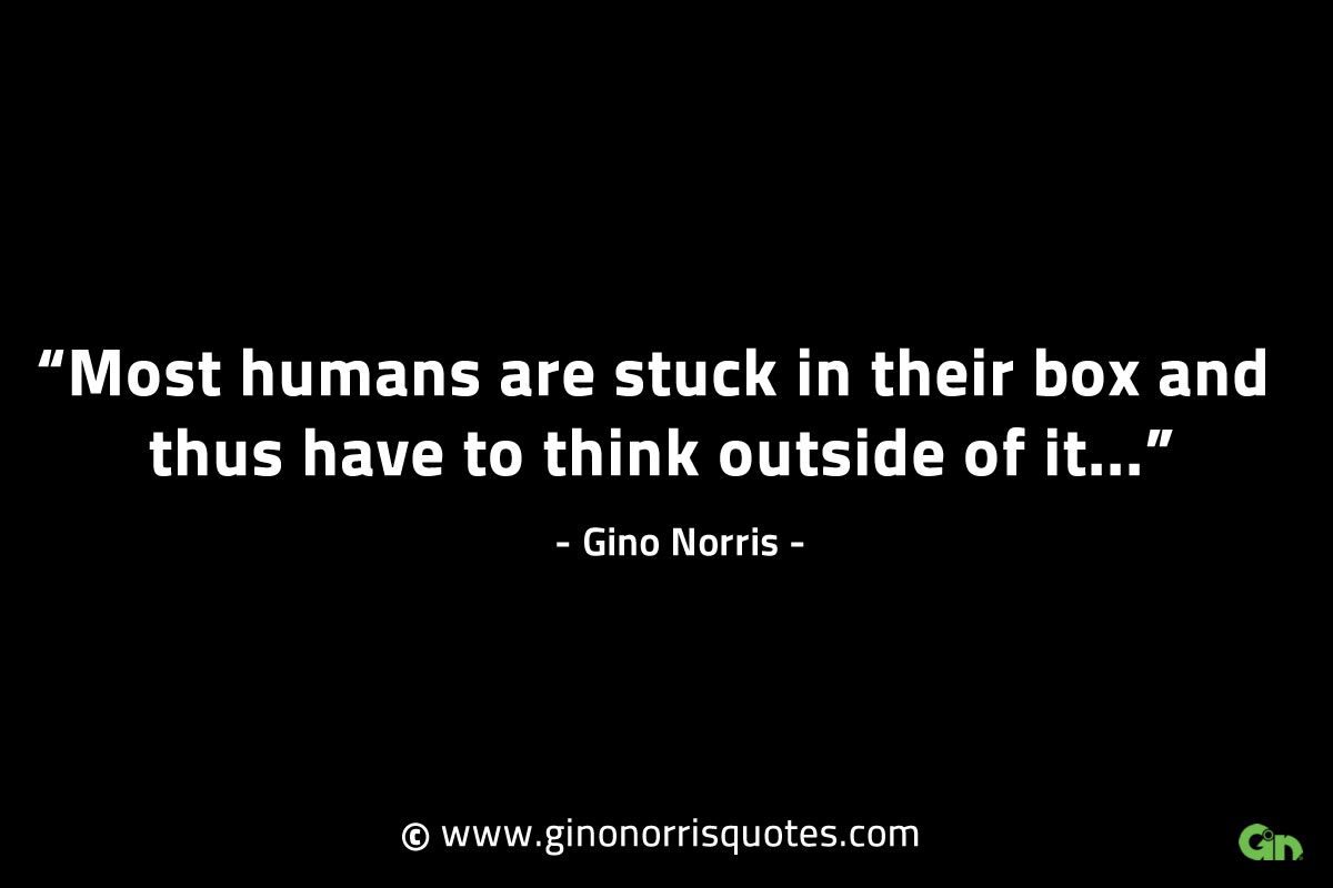 Most humans are stuck in their box GinoNorrisINTJQuotes