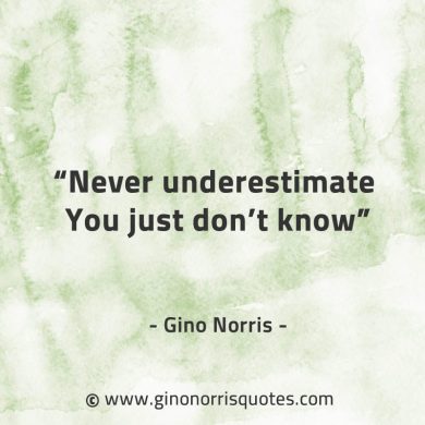 Never underestimate You just dont know GinoNorrisQuotes