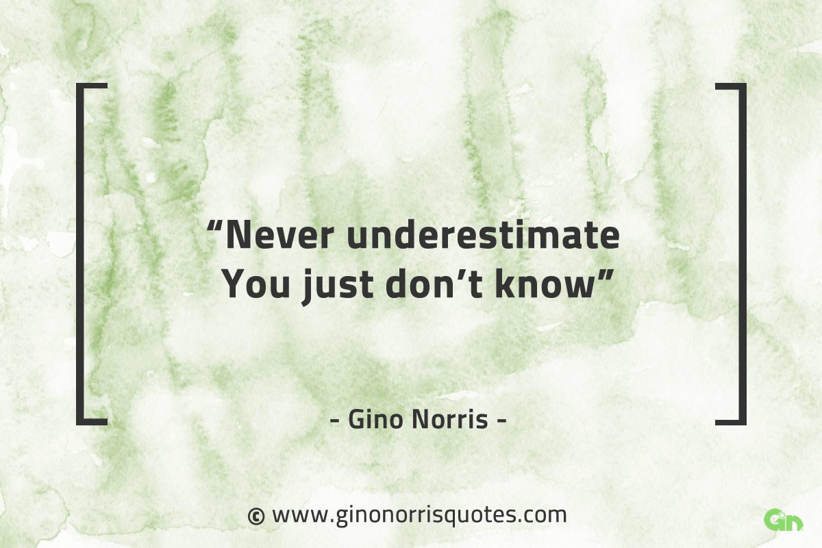 Never underestimate You just dont know GinoNorrisQuotes