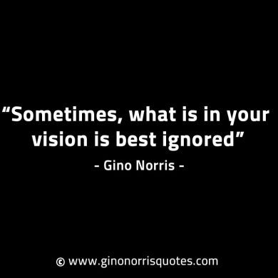 Sometimes what is in your vision is best ignored GinoNorrisINTJQuotes