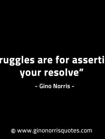 Struggles are for asserting your resolve GinoNorrisINTJQuotes