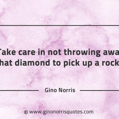Take care in not throwing away that diamond to pick up a rock GinoNorrisQuotes