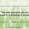 The only ignorance you are allowed GinoNorrisQuotes