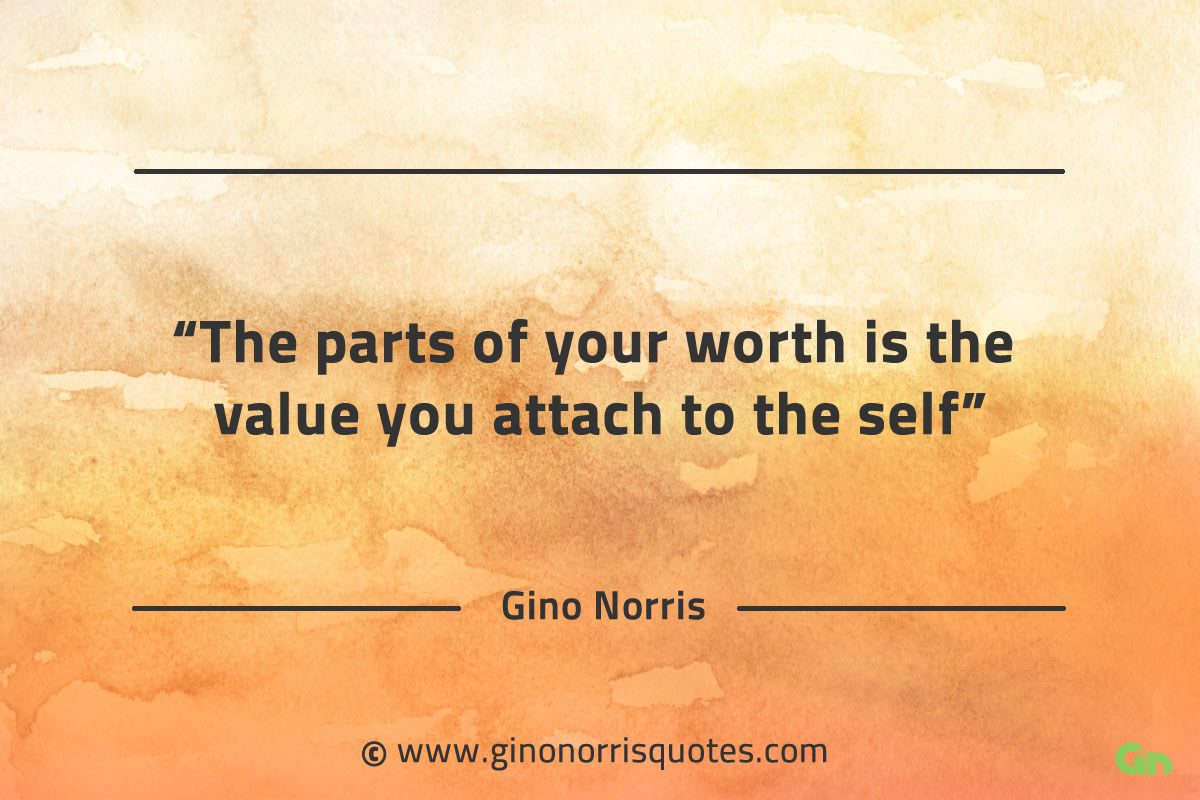 The parts of your worth is the value you attach to the self GinoNorrisQuotes