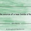 The source of a tear holds a fear GinoNorrisQuotes
