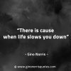 There is cause when life slows you down GinoNorrisQuotes