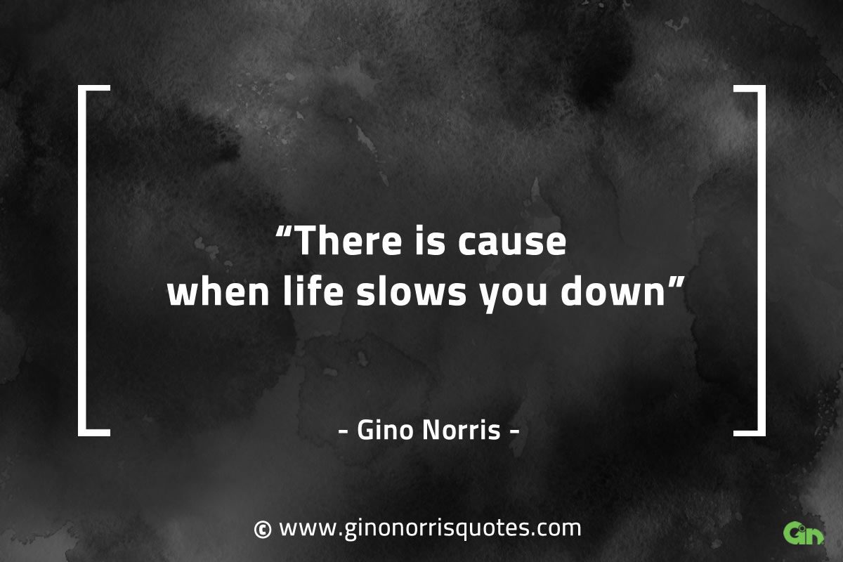 There is cause when life slows you down GinoNorrisQuotes
