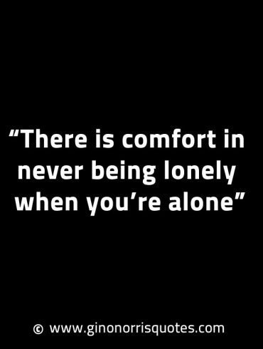 There is comfort in never being lonely GinoNorrisINTJQuotes