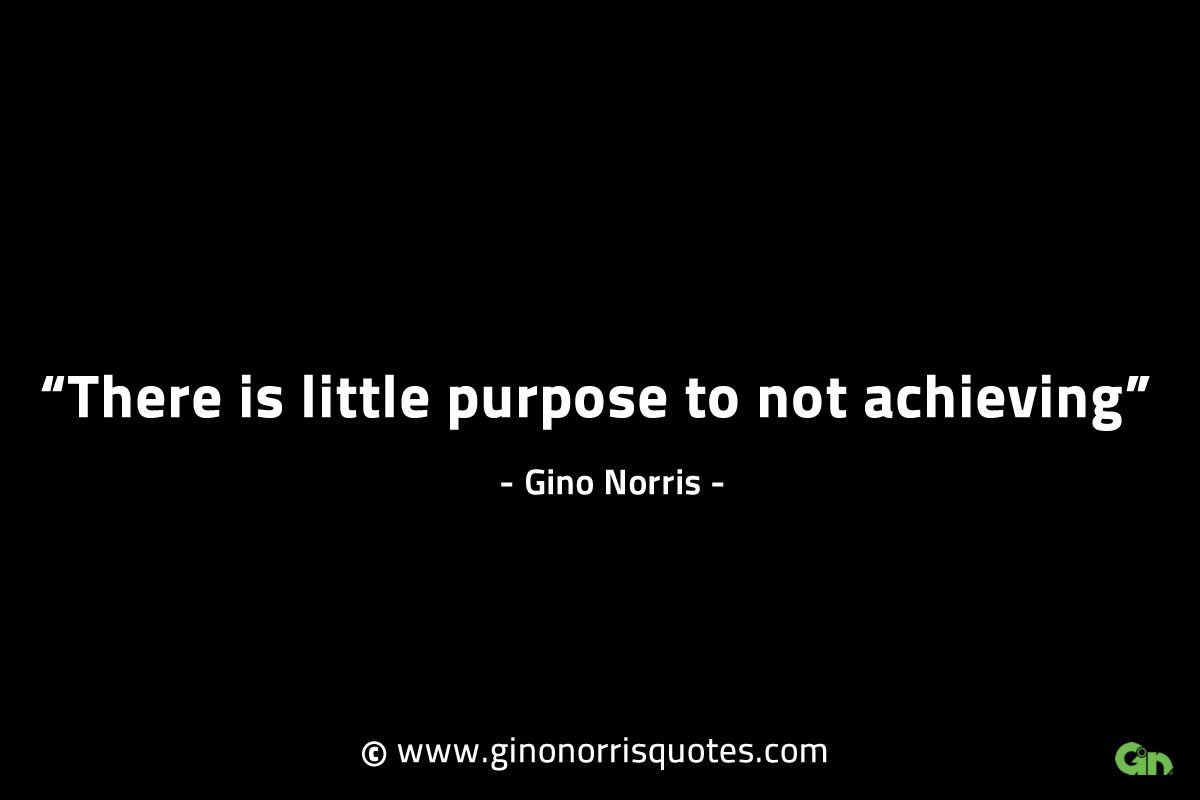 There is little purpose to not achieving GinoNorrisINTJQuotes