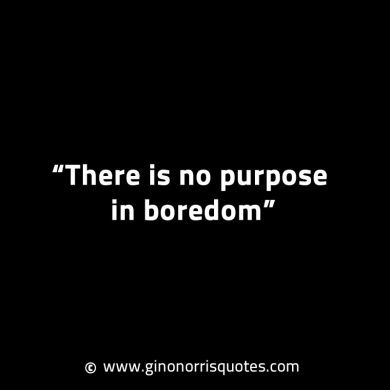 There is no purpose in boredom GinoNorrisINTJQuotes