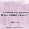 To the wise their ignorance GinoNorrisQuotes
