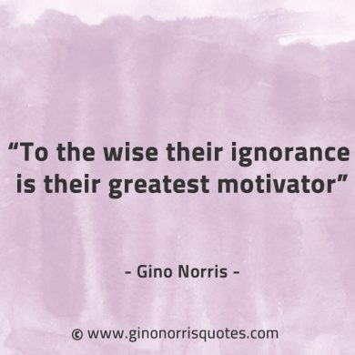 To the wise their ignorance GinoNorrisQuotes