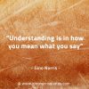 Understanding is in how you mean what you say GinoNorrisQuotes