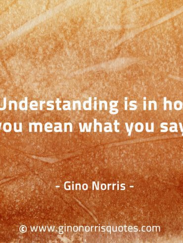 Understanding is in how you mean what you say GinoNorrisQuotes
