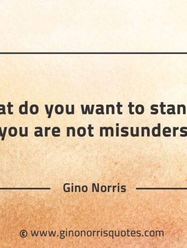What do you want to stand for GinoNorrisQuotes