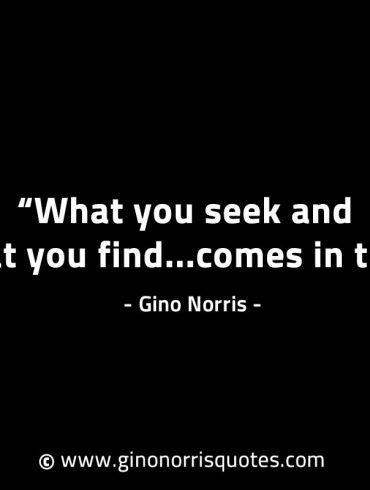 What you seek and what you find GinoNorrisINTJQuotes