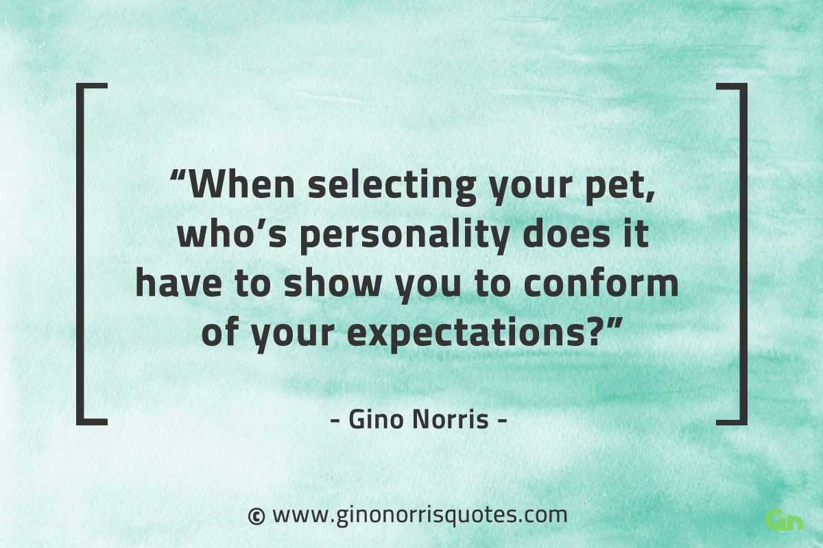 When selecting your pet GinoNorrisQuotes