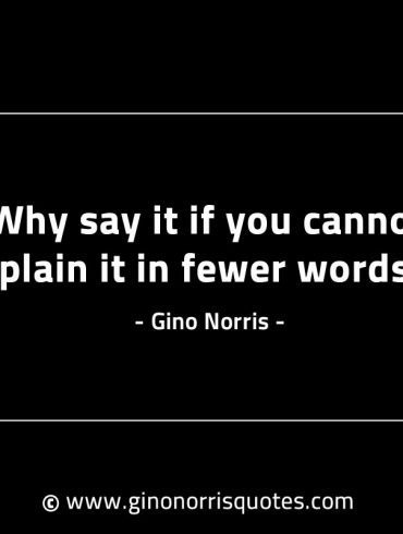 Why say it if you cannot explain it GinoNorrisINTJQuotes