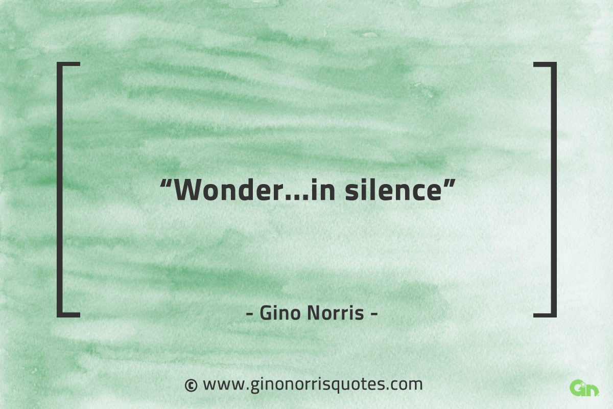Wonder in silence GinoNorrisQuotes