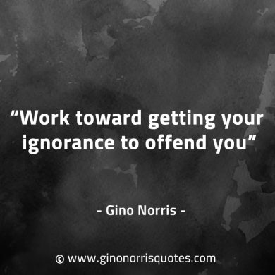 Work toward getting your ignorance to offend you GinoNorrisQuotes
