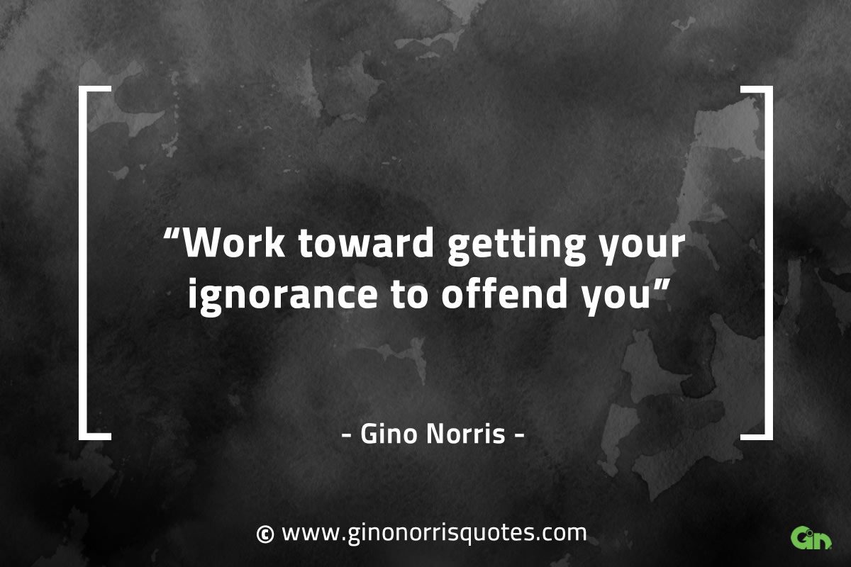 Work toward getting your ignorance to offend you GinoNorrisQuotes