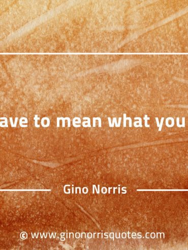 You have to mean what you mean GinoNorrisQuotes