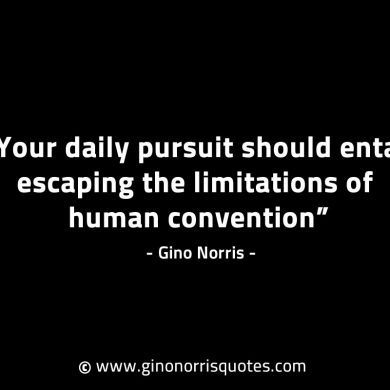 Your daily pursuit should entail GinoNorrisINTJQuotes