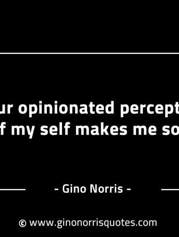 Your opinionated perception of my self GinoNorrisINTJQuotes
