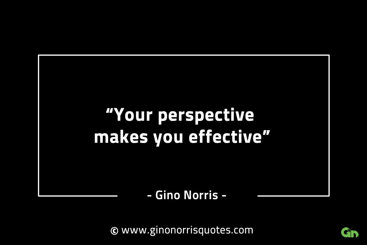 Your perspective makes you effective GinoNorrisINTJQuotes