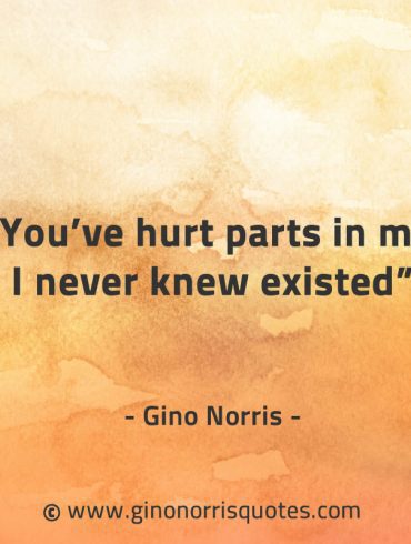 Youve hurt parts in me I never knew existed GinoNorrisQuotes