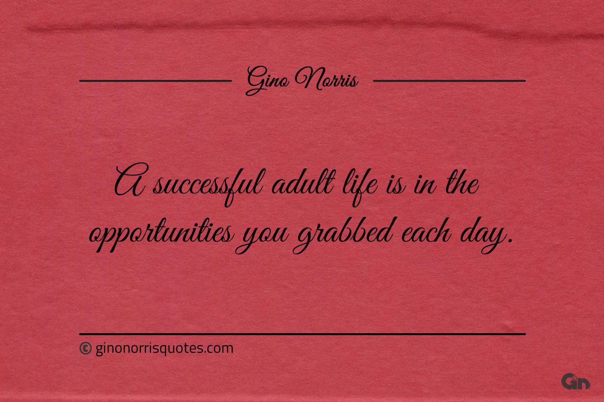 A successful adult life is in the opportunities ginonorrisquotes
