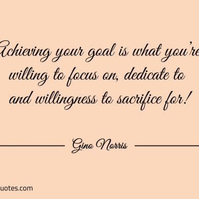 Achieving your goal is what youre willing to focus on ginonorrisquotes