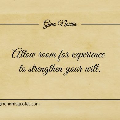 Allow room for experience to strengthen your will ginonorrisquotes