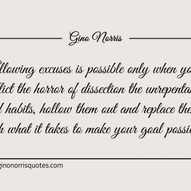Allowing excuses is possible only ginonorrisquotes