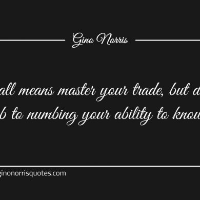 By all means master your trade ginonorrisquotes